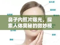 鼻子內(nèi)照片曝光，探索人體奧秘的微妙視角