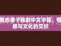 我的妻子韓劇中文字幕，情感與文化的交織