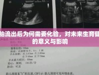 胚胎流出后為何需要化驗(yàn)，對(duì)未來生育健康的意義與影響