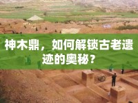 神木鼎，如何解鎖古老遺跡的奧秘？