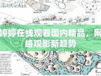 婷婷在線觀看國內(nèi)精品，網(wǎng)絡觀影新趨勢