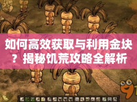 如何高效獲取與利用金塊？揭秘饑荒攻略全解析