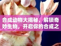 合成動物大揭秘，解鎖奇妙生物，開啟你的合成之旅！