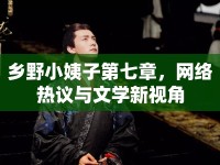 鄉(xiāng)野小姨子第七章，網(wǎng)絡(luò)熱議與文學(xué)新視角