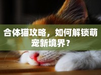 合體貓攻略，如何解鎖萌寵新境界？