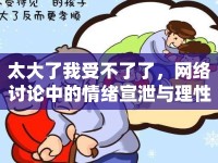 太大了我受不了了，網(wǎng)絡(luò)討論中的情緒宣泄與理性思考