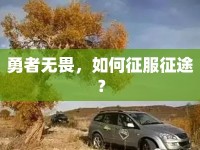 勇者無畏，如何征服征途？