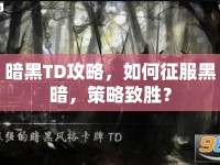 暗黑TD攻略，如何征服黑暗，策略致勝？