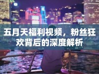 五月天福利視頻，粉絲狂歡背后的深度解析