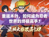 重返木葉，如何成為忍者世界的終極高手？