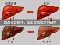 耳朵微妙信號(hào)，淡血流出背后的秘密