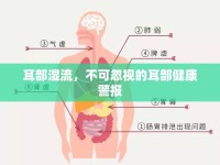 耳部濕流，不可忽視的耳部健康警報(bào)