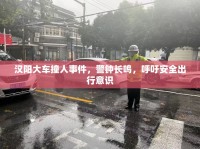 漢陽大車撞人事件，警鐘長鳴，呼吁安全出行意識(shí)