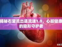 揭秘右室流出道流速1.0，心臟健康的隱形守護(hù)者