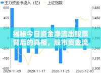 揭秘今日資金凈流出股票背后的真相，股市資金流向的微妙變化