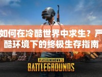 如何在冷酷世界中求生？嚴(yán)酷環(huán)境下的終極生存指南！