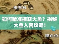 如何精準捕獲大魚？揭秘大魚入網(wǎng)攻略！