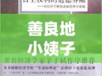 善良地小姨子游戲，網(wǎng)絡(luò)討論中的道德邊界與娛樂界限
