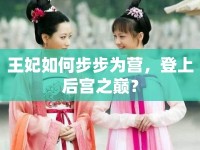 王妃如何步步為營，登上后宮之巔？