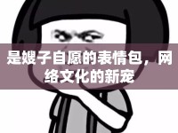 是嫂子自愿的表情包，網(wǎng)絡(luò)文化的新寵