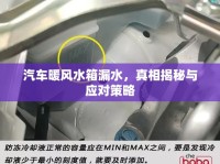 汽車(chē)暖風(fēng)水箱漏水，真相揭秘與應(yīng)對(duì)策略
