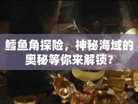 鱈魚角探險(xiǎn)，神秘海域的奧秘等你來解鎖？