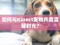 如何與Kinect寵物共度溫馨時(shí)光？