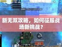 新無雙攻略，如何征服戰(zhàn)場新挑戰(zhàn)？