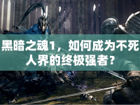 黑暗之魂1，如何成為不死人界的終極強(qiáng)者？
