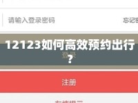 12123如何高效預(yù)約出行？