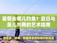 暑假去哪兒釣魚？夏日與魚兒共舞的藝術(shù)指南