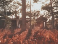 摩洛為何被譽(yù)為‘北非明珠’？獨(dú)特地理與自然環(huán)境揭秘