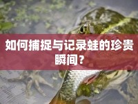 如何捕捉與記錄蛙的珍貴瞬間？