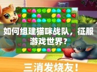 如何組建貓咪戰(zhàn)隊(duì)，征服游戲世界？