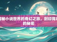 揭秘小說世界的奇幻之旅，封印背后的秘密