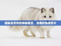 揭秘自然界的神秘精靈，凌鹿的驚艷照片