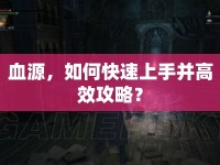 血源，如何快速上手并高效攻略？