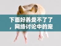 下面好養(yǎng)受不了了，網(wǎng)絡(luò)討論中的寵物養(yǎng)護(hù)挑戰(zhàn)與應(yīng)對