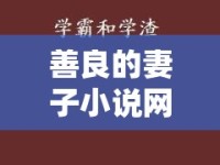 善良的妻子小說網(wǎng)，探討網(wǎng)絡(luò)文學(xué)中的女性形象與情感深度