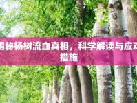 揭秘楊樹流血真相，科學(xué)解讀與應(yīng)對(duì)措施