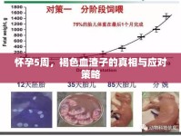 懷孕5周，褐色血渣子的真相與應對策略