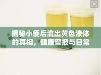 揭秘小便后流出黃色液體的真相，健康警報(bào)與日常護(hù)理指南
