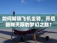 如何解鎖飛機(jī)坐騎，開啟翱翔天際的夢(mèng)幻之旅？