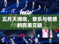 五月天擁抱，音樂(lè)與情感的完美交融