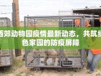 西郊動(dòng)物園疫情最新動(dòng)態(tài)，共筑綠色家園的防疫屏障