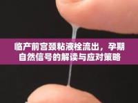 臨產(chǎn)前宮頸粘液栓流出，孕期自然信號(hào)的解讀與應(yīng)對(duì)策略