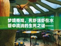 夢境奇觀，死蝦活蝦在水管中流淌的生死之謎——探索夢境中食物象征的深層含義