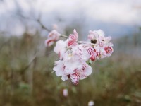 琵琶網(wǎng)軒轅傳奇手游如何完美融合古老傳說(shuō)與現(xiàn)代科技？