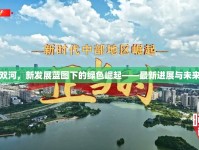 定東雙河，新發(fā)展藍圖下的綠色崛起——最新進展與未來展望