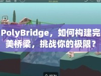 PolyBridge，如何構(gòu)建完美橋梁，挑戰(zhàn)你的極限？